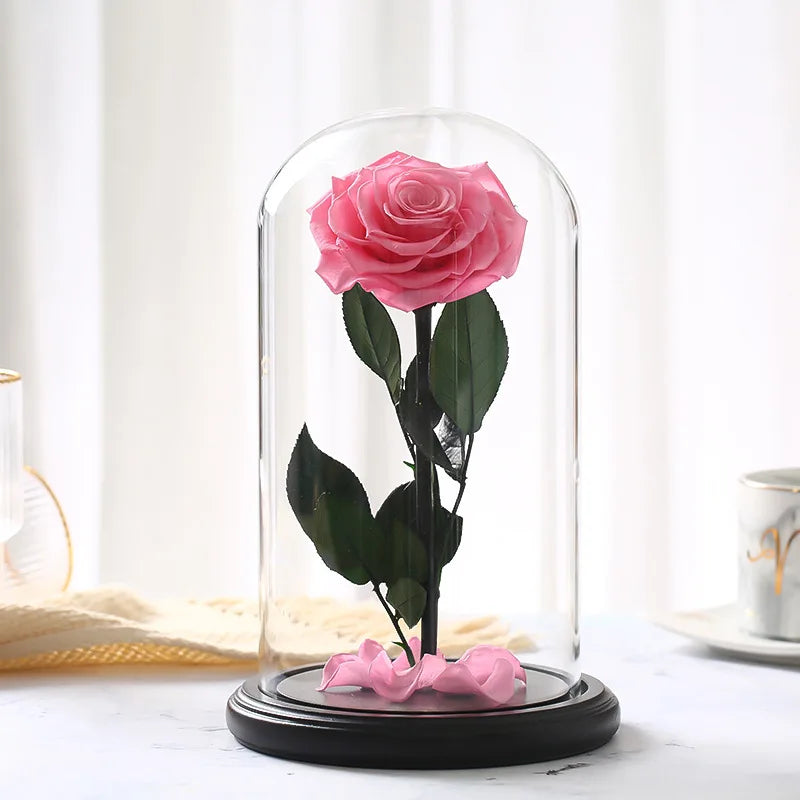 Eternal Rose in Glass Big Red Rose Preserved Fresh Rose in Glass Valentine'S Day Gift Romantic Rose Glass Immortal Rose