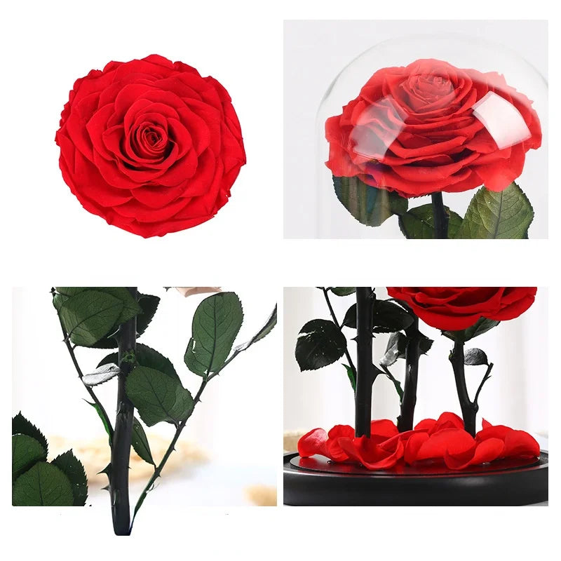 Eternal Rose in Glass Big Red Rose Preserved Fresh Rose in Glass Valentine'S Day Gift Romantic Rose Glass Immortal Rose