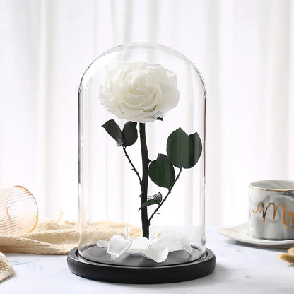 Eternal Rose in Glass Big Red Rose Preserved Fresh Rose in Glass Valentine'S Day Gift Romantic Rose Glass Immortal Rose